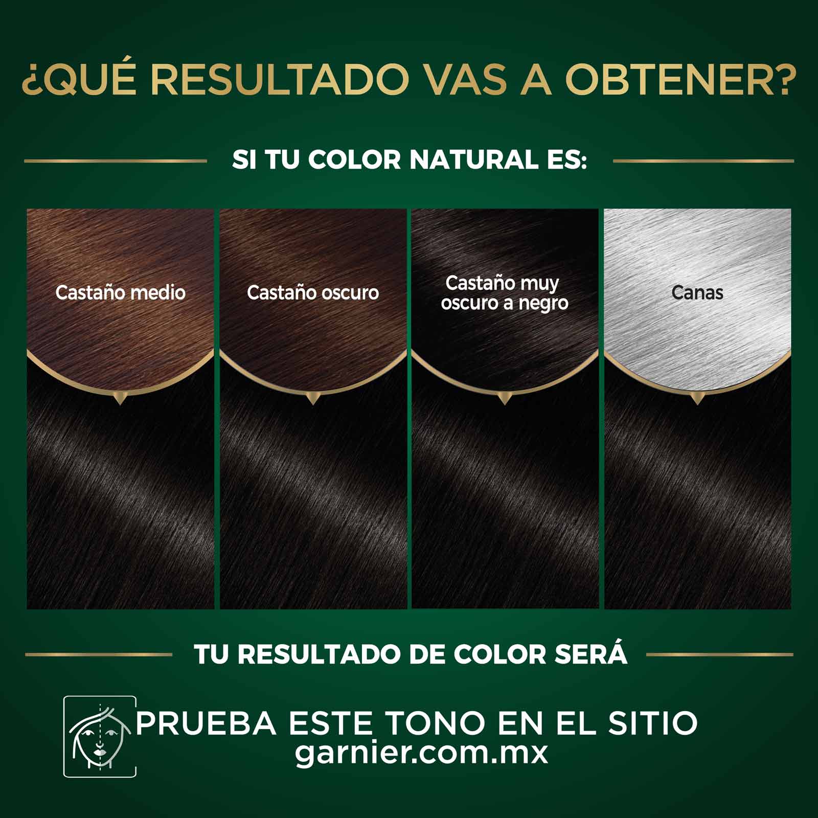 COLORACIÓN SIN AMONIACO NUTRISSE OLEOS TONO 3.0 CASTAÑO OSCURO RESULTADOS A OBTENER